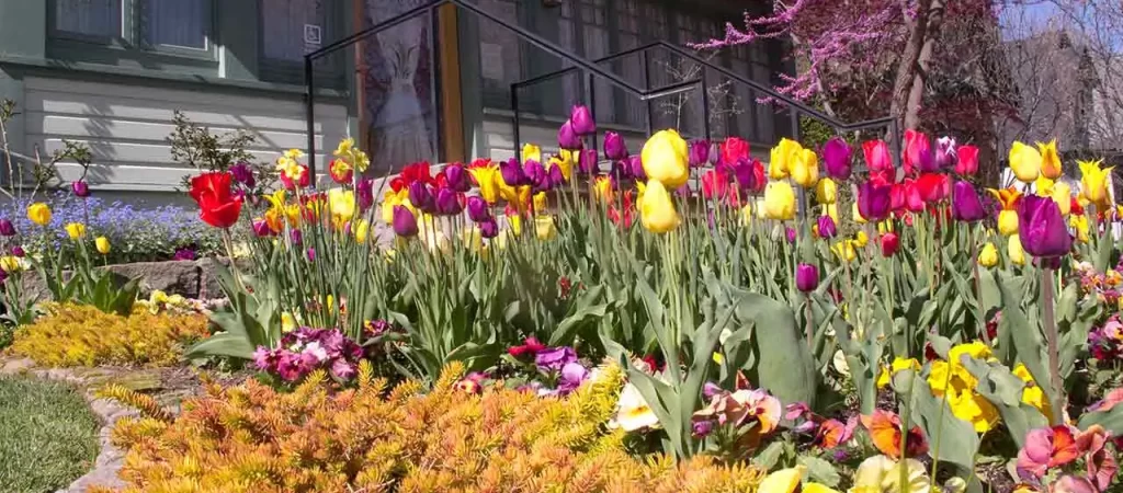 Spring and Estate Planning-image