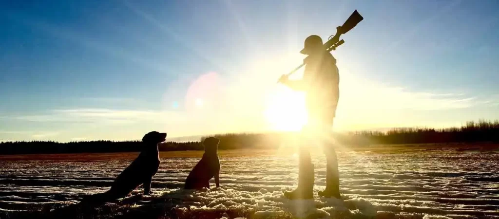 It’s Fall – Everyone Has Gone Hunting-image