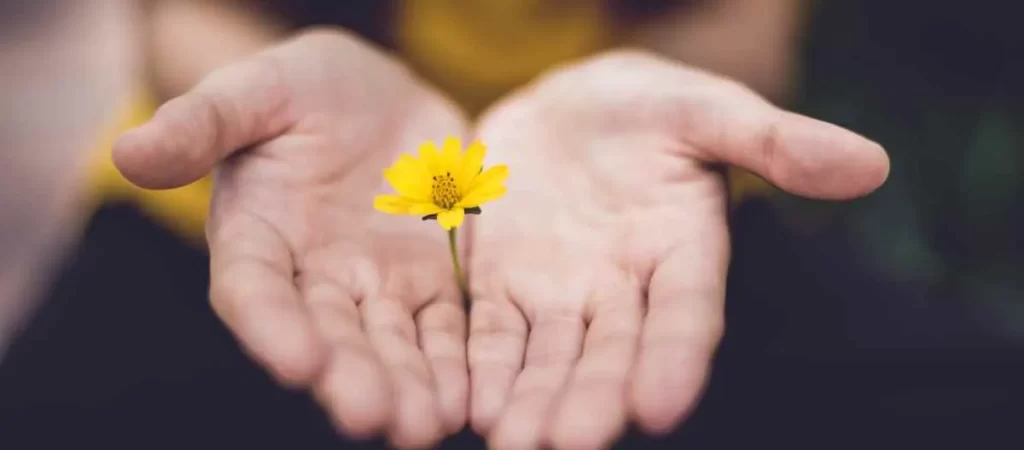 Year-End Giving Tips-image