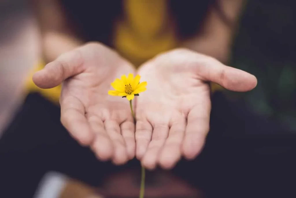 Year-End Giving Tips