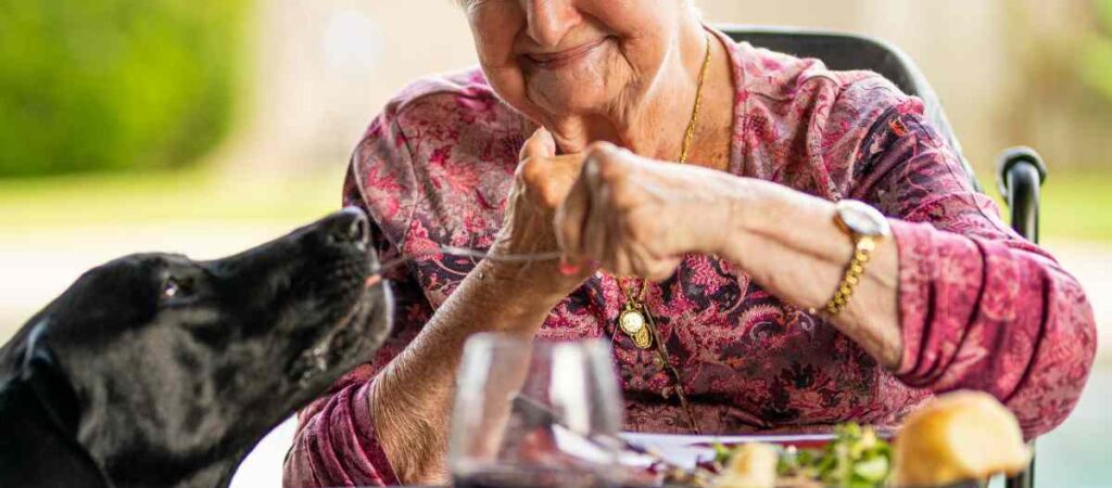 Dos and Don’ts for Single, Childless Seniors-image